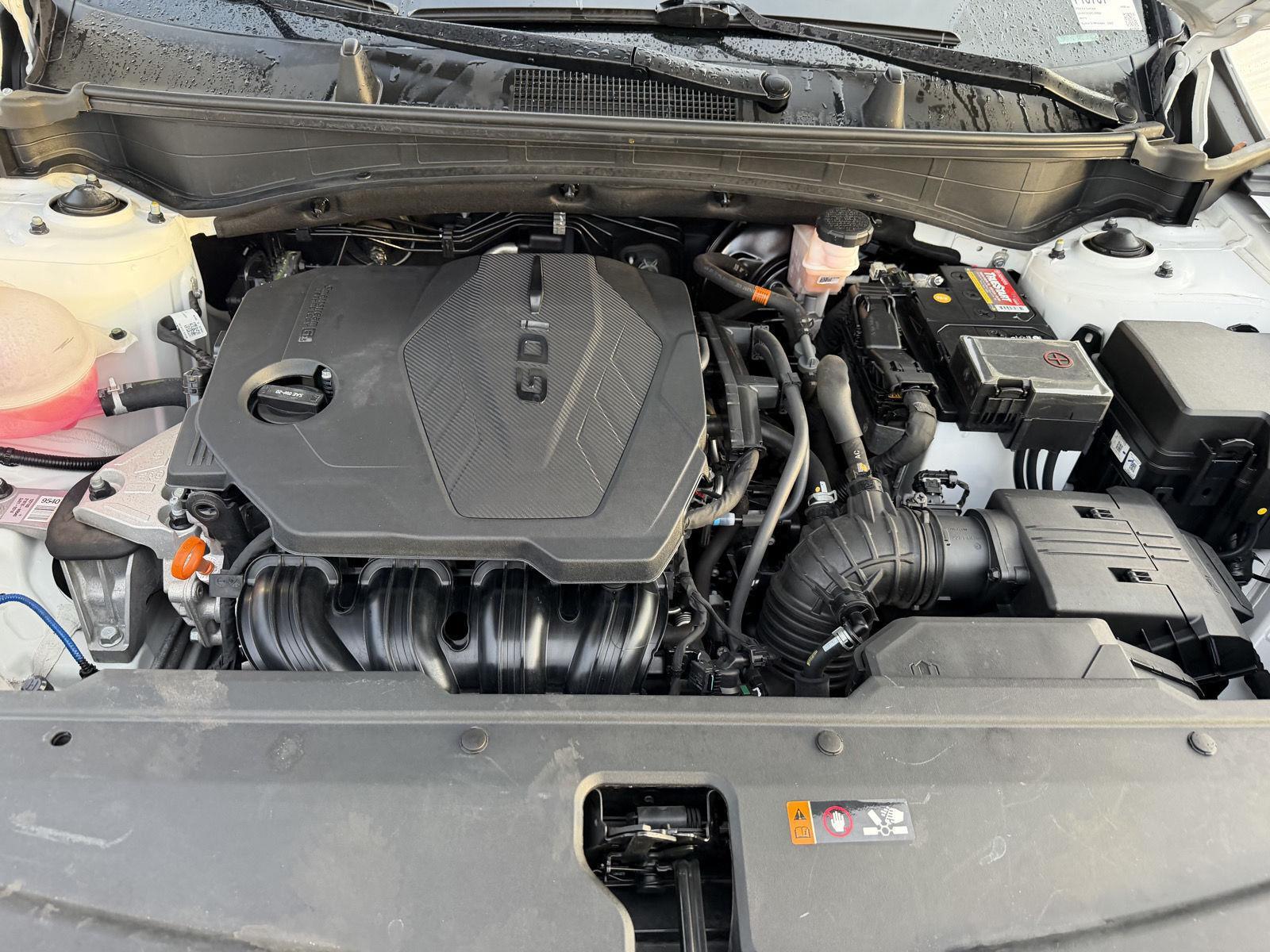 Used 2024 Kia Sportage SUV