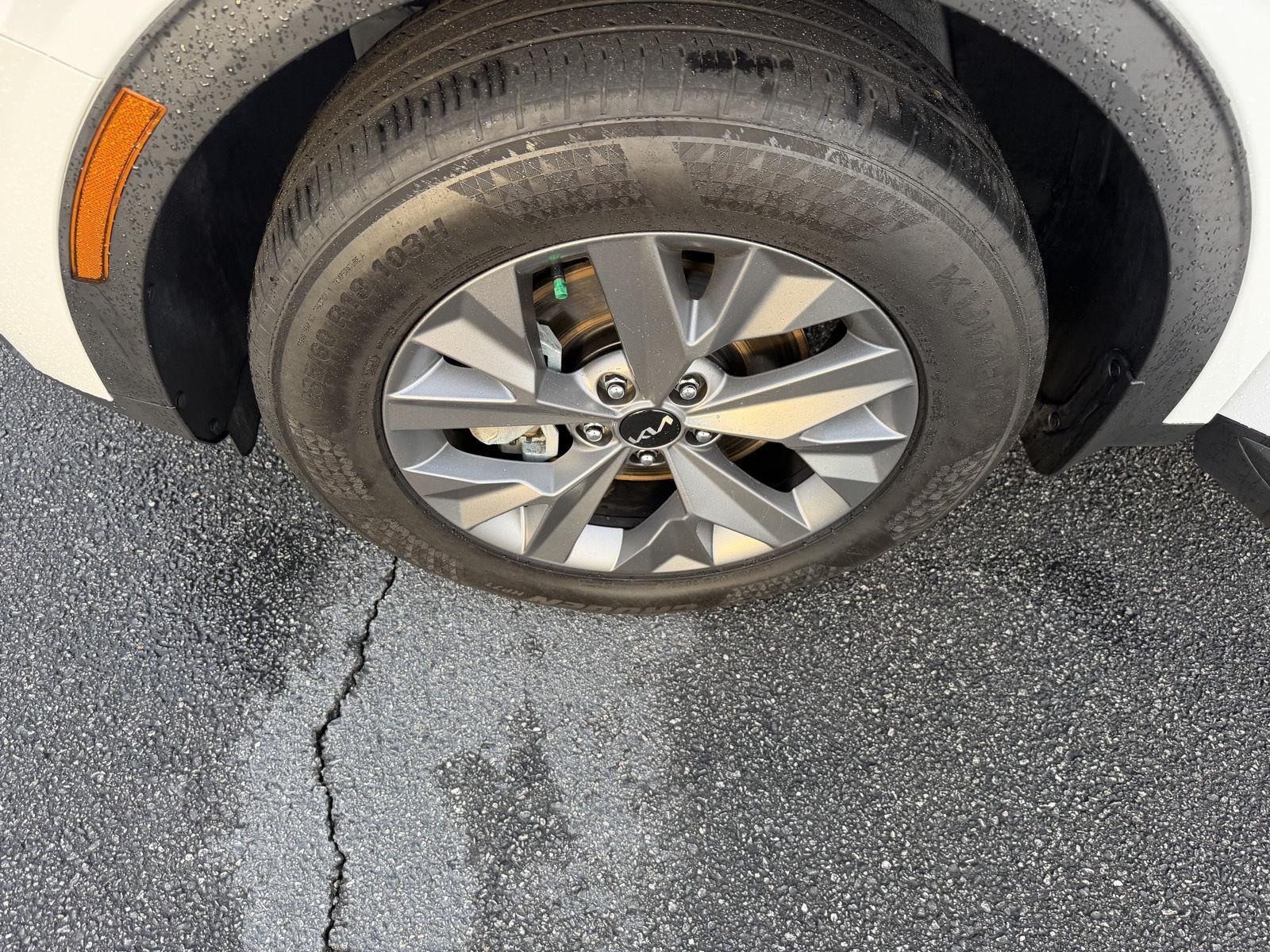Used 2024 Kia Sportage SUV