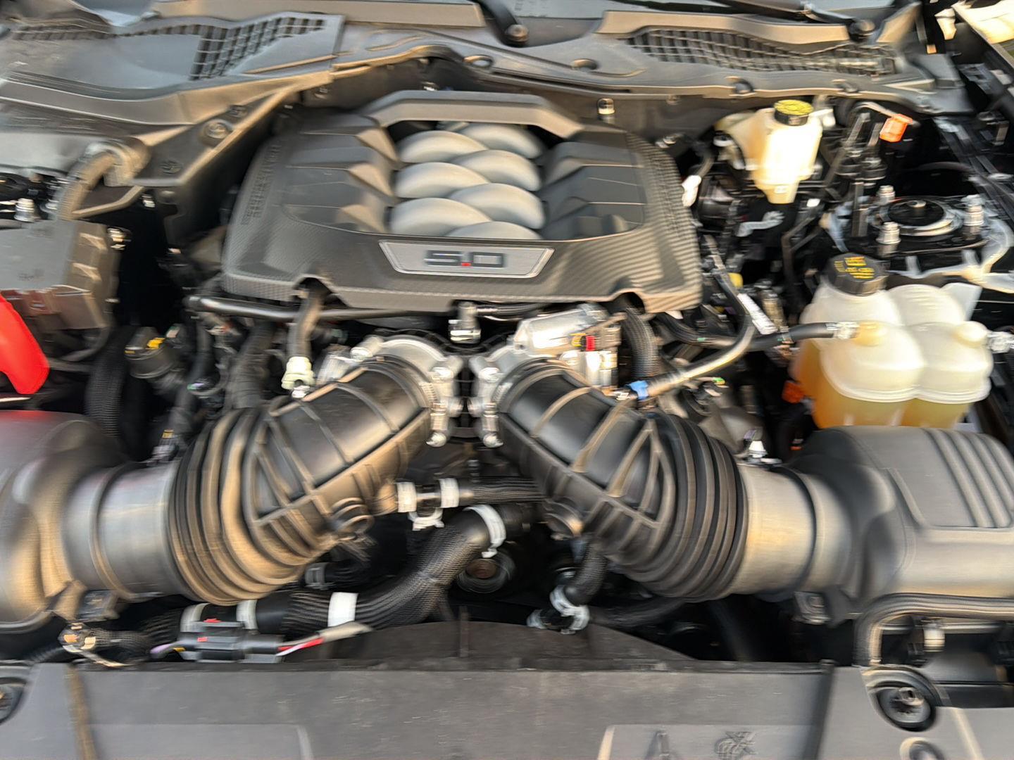 Used 2025 Ford Mustang Sedan