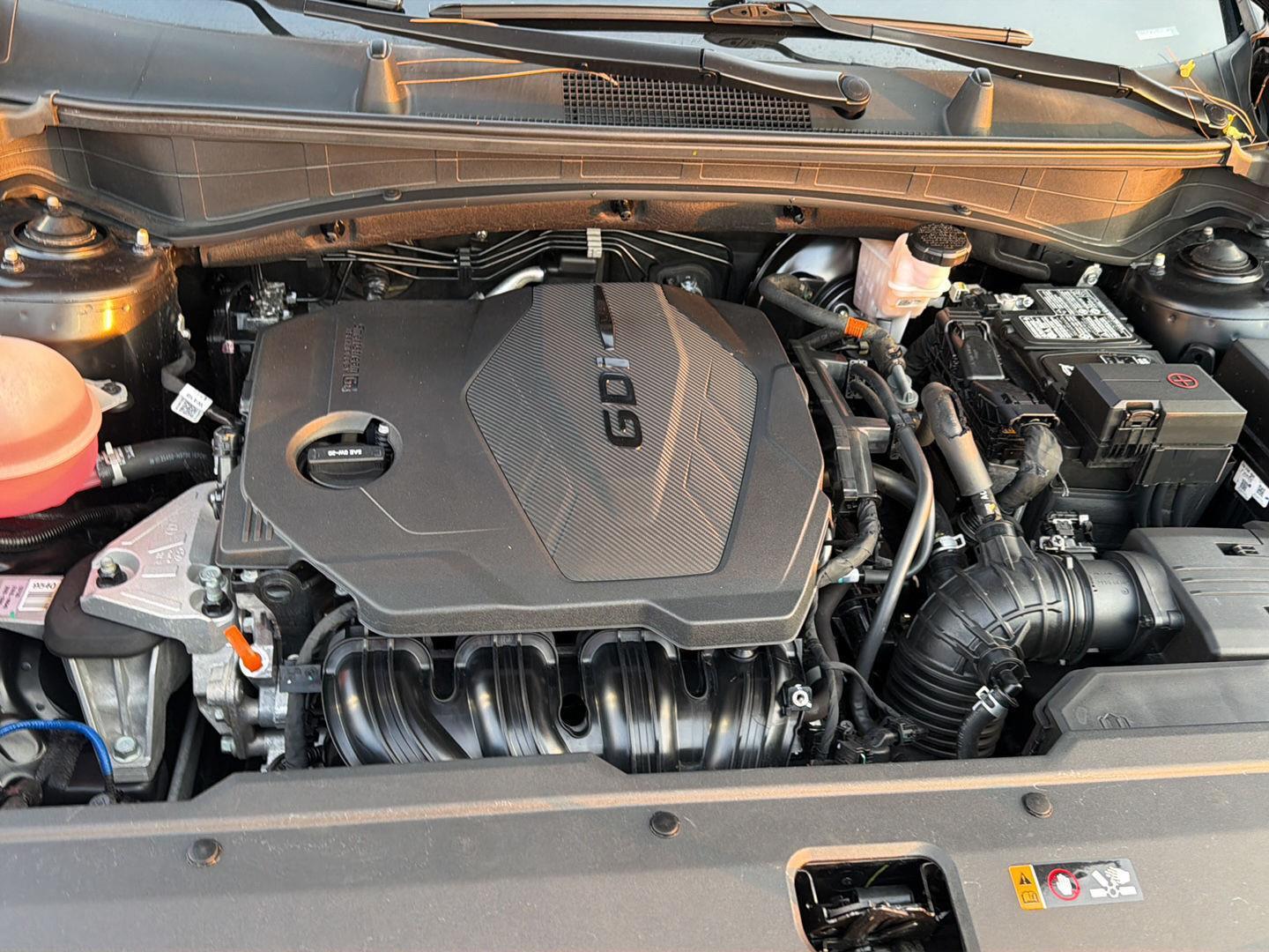 Used 2024 Kia Sportage SUV