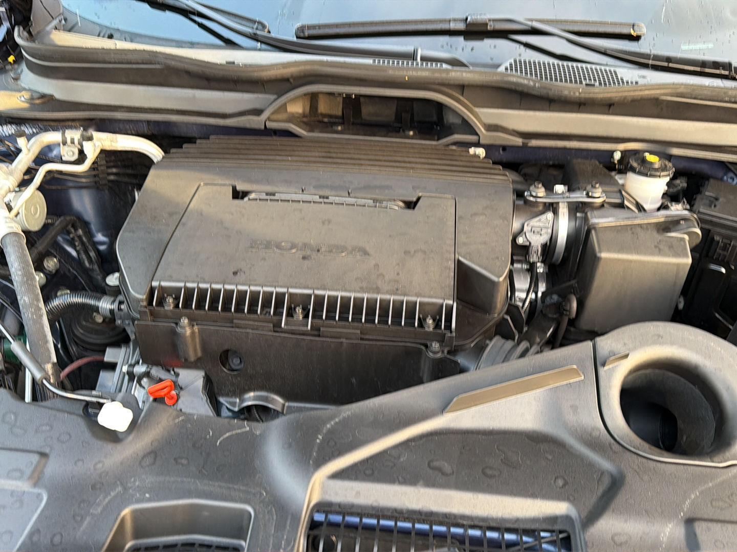 Used 2025 Honda Pilot SUV