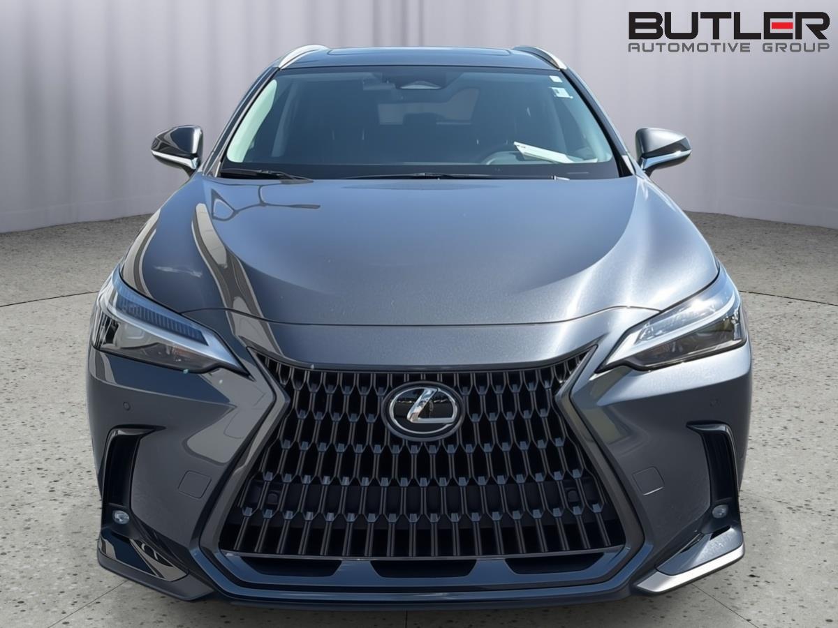 Used 2025 Lexus NX SUV