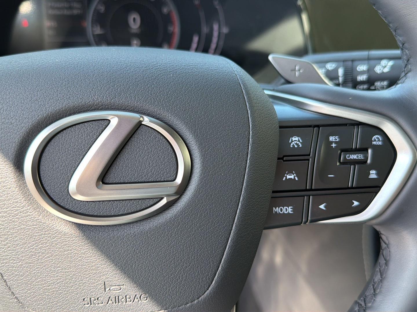 Used 2025 Lexus NX SUV