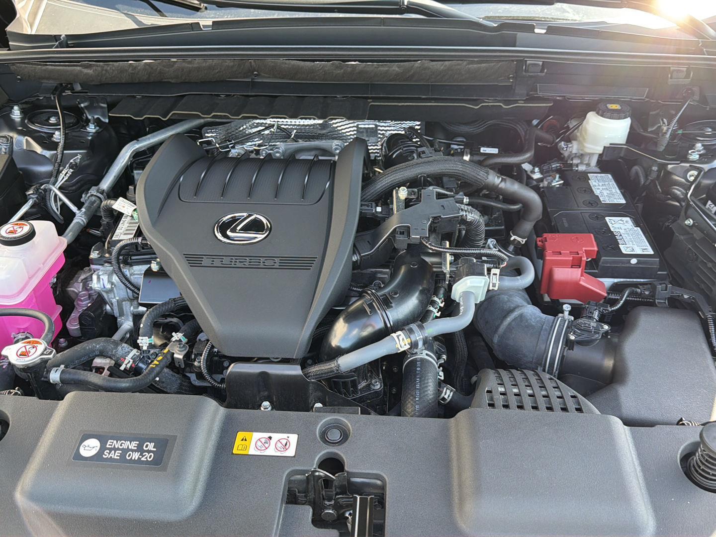 Used 2025 Lexus NX SUV