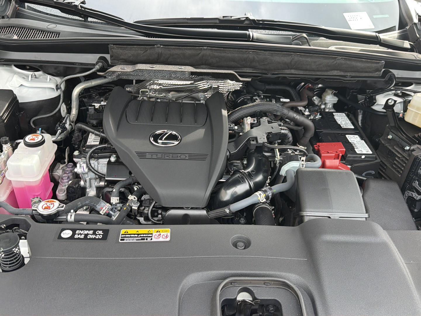 Used 2024 Lexus RX SUV