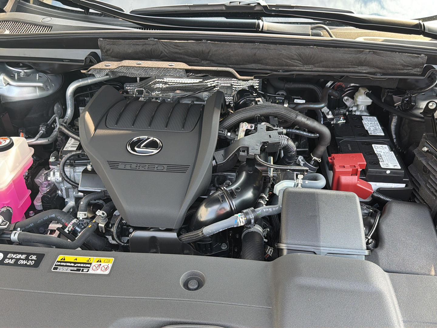 Used 2024 Lexus RX SUV