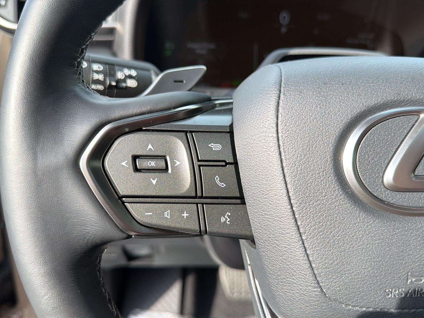 Used 2025 Lexus LX SUV