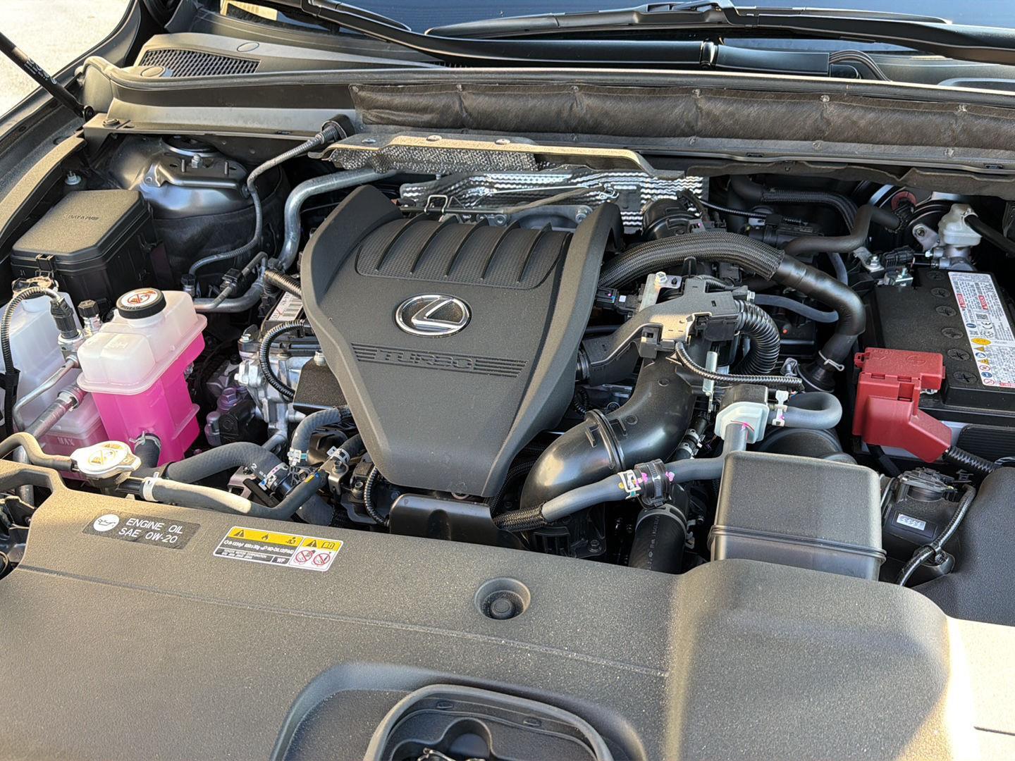 Used 2025 Lexus RX SUV