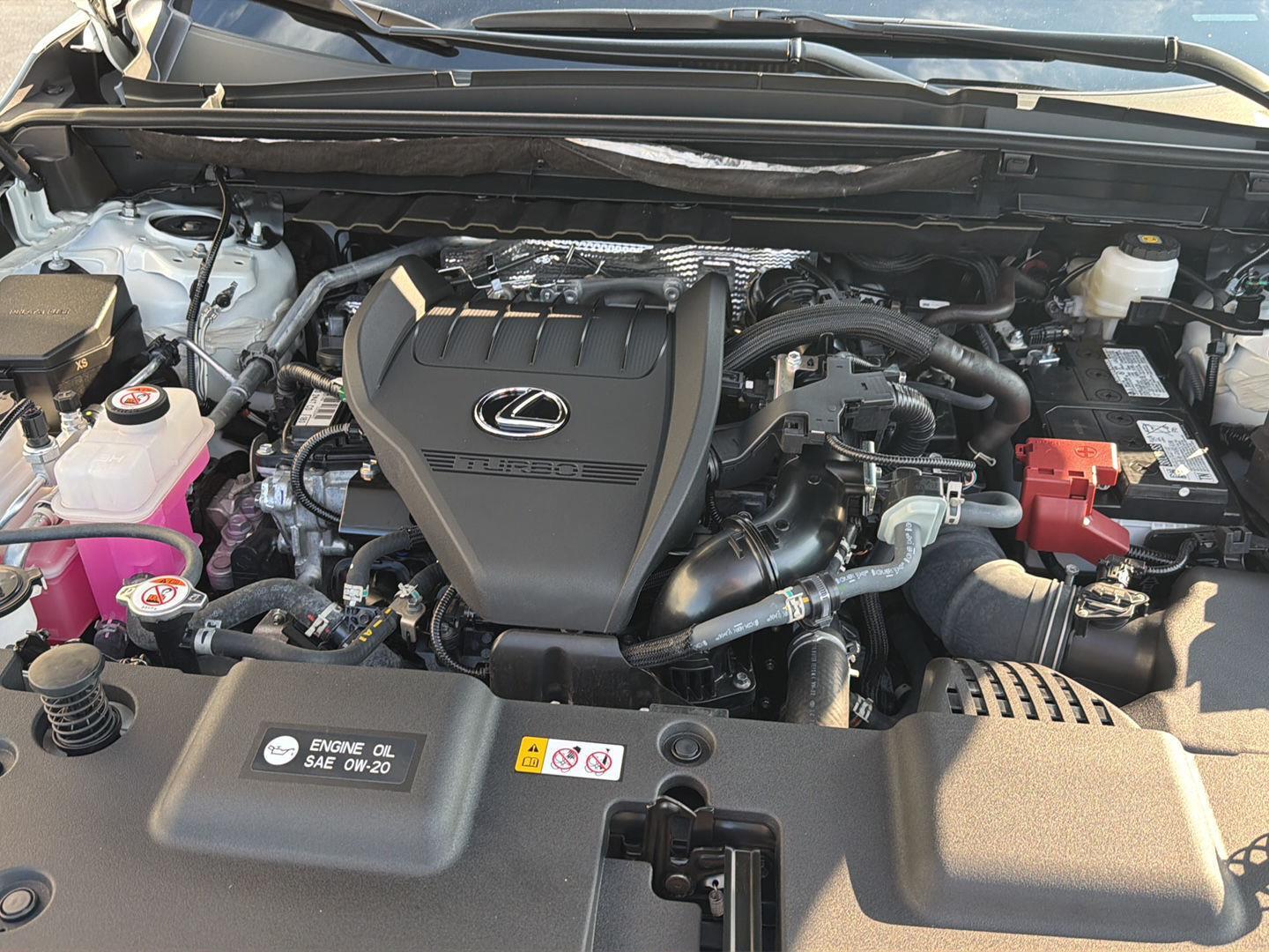 Used 2026 Lexus NX SUV