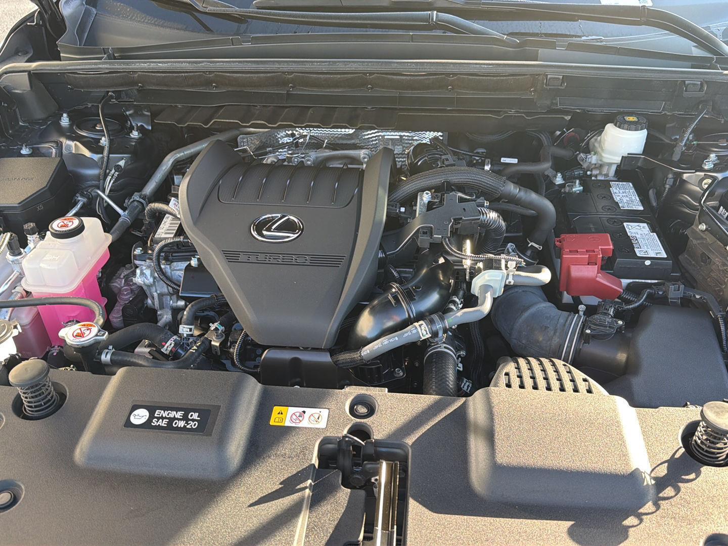 Used 2024 Lexus NX SUV