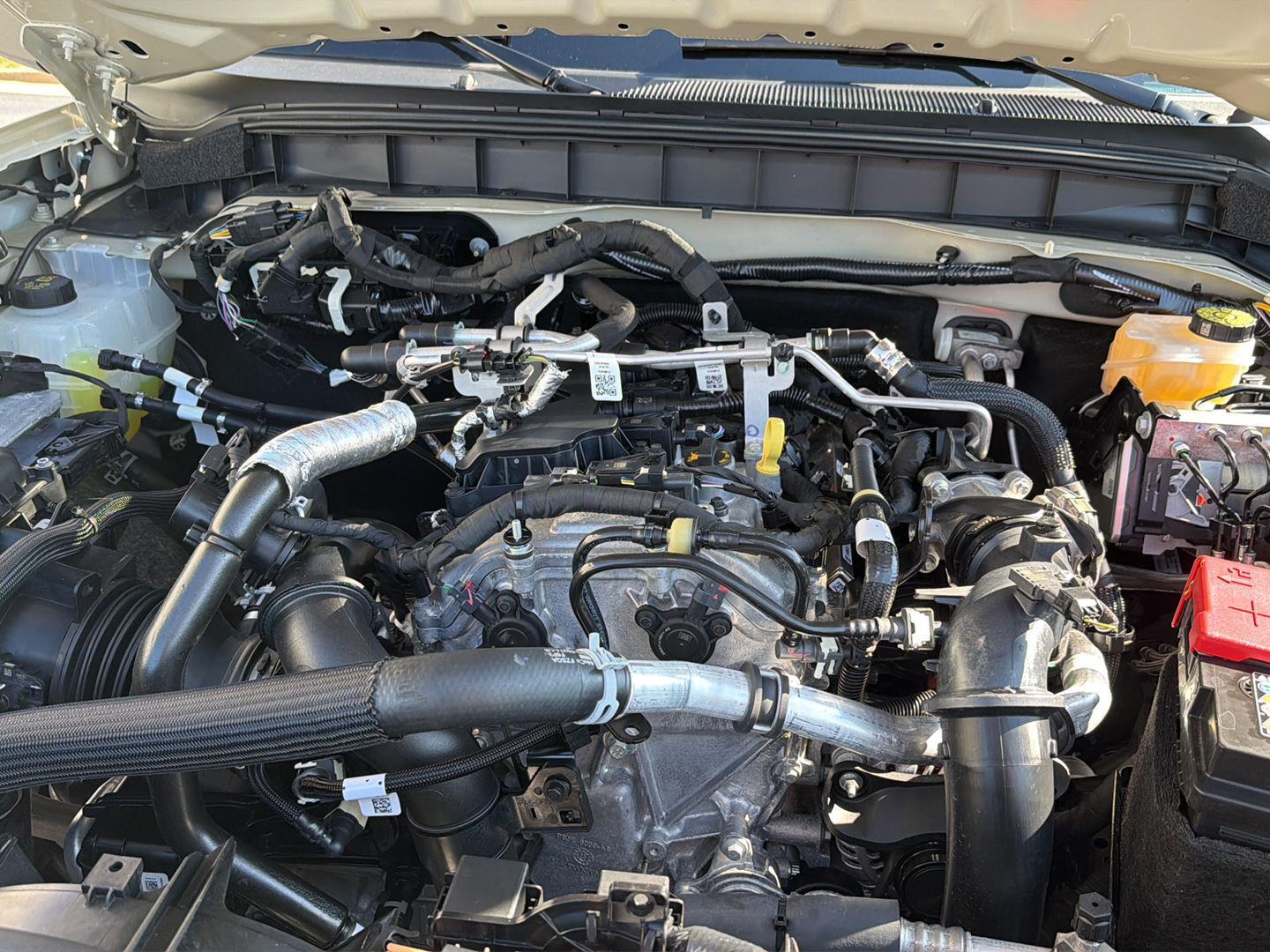 Used 2026 Ford Bronco SUV