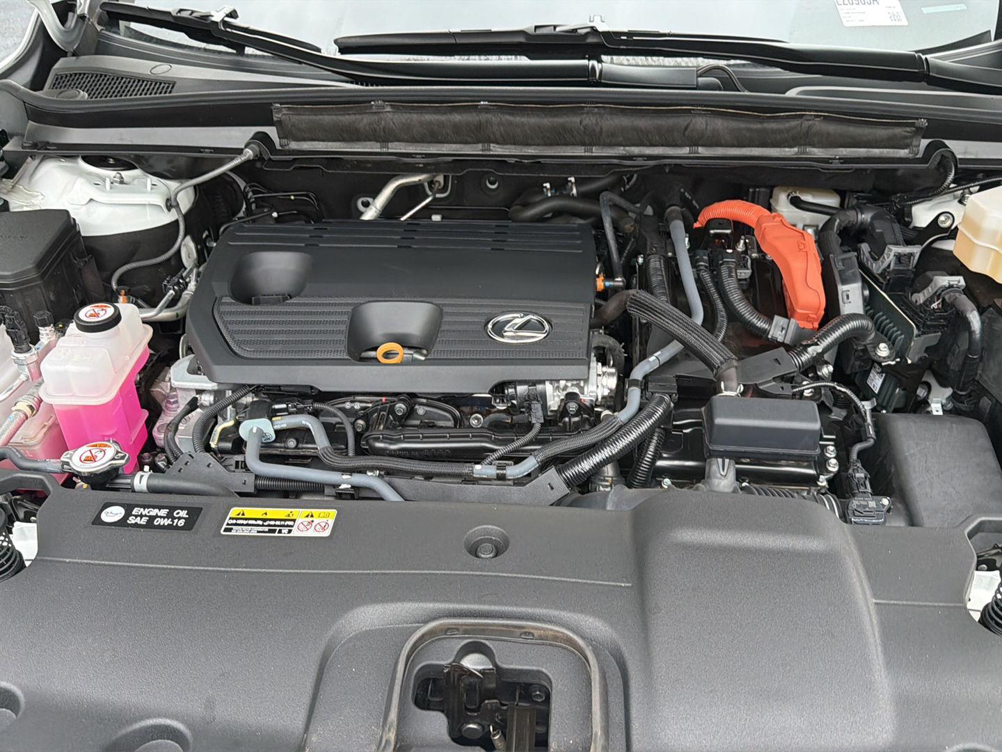 Used 2024 Lexus RX SUV