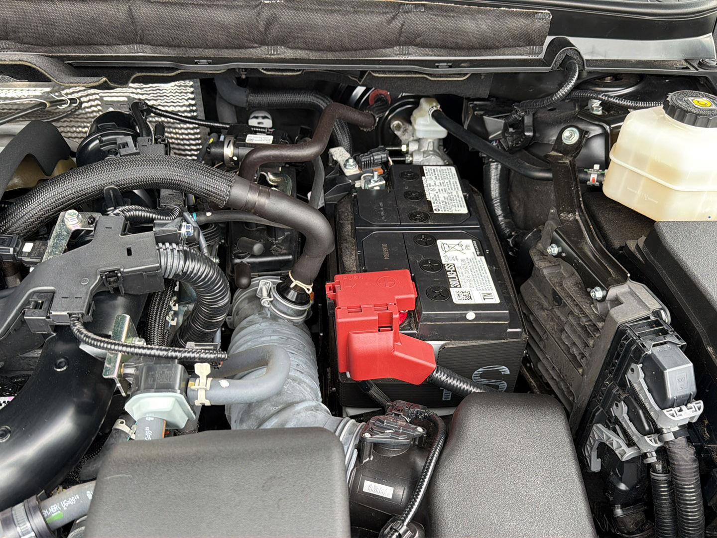 Used 2024 Lexus RX SUV