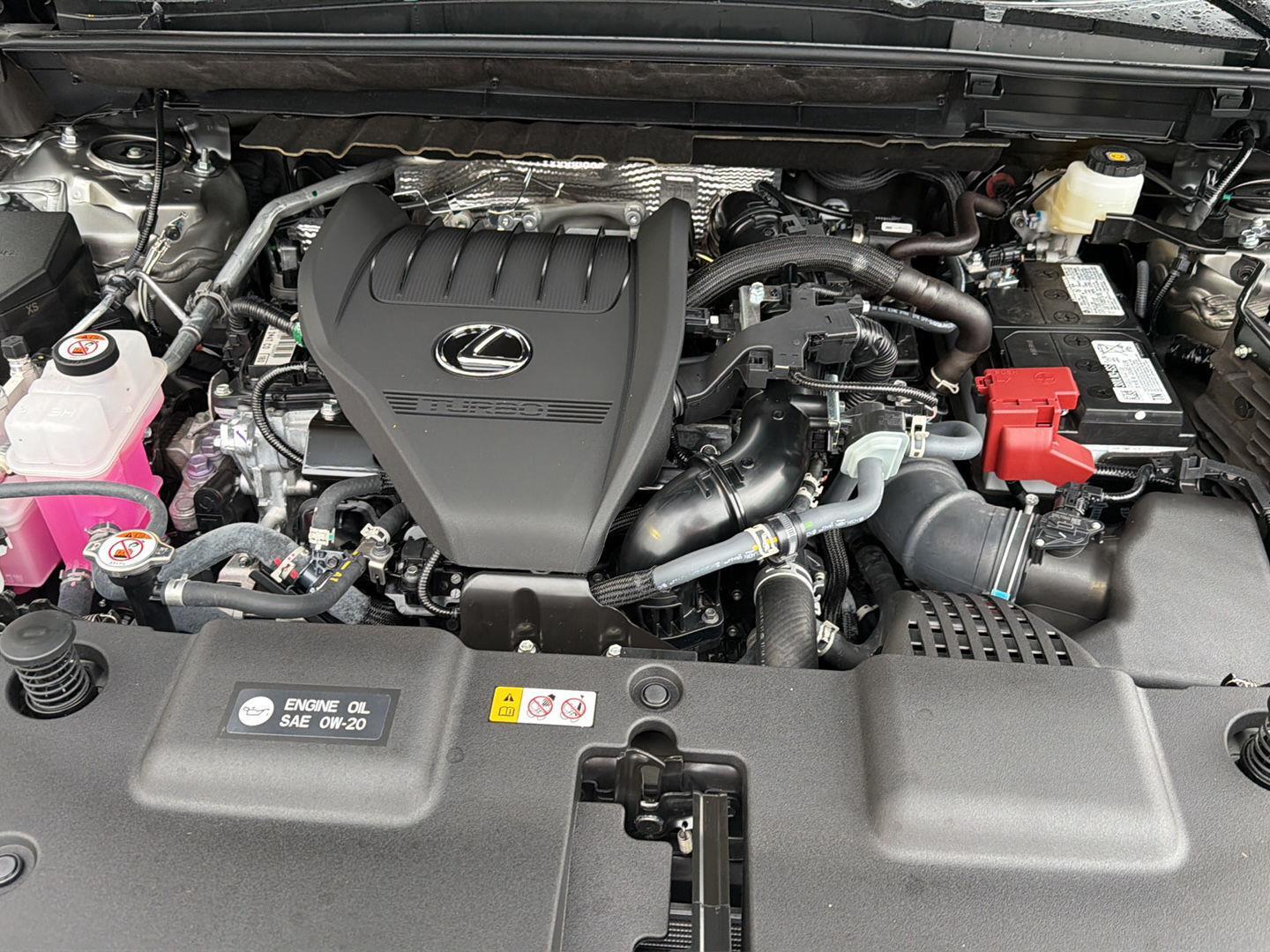 Used 2026 Lexus NX SUV