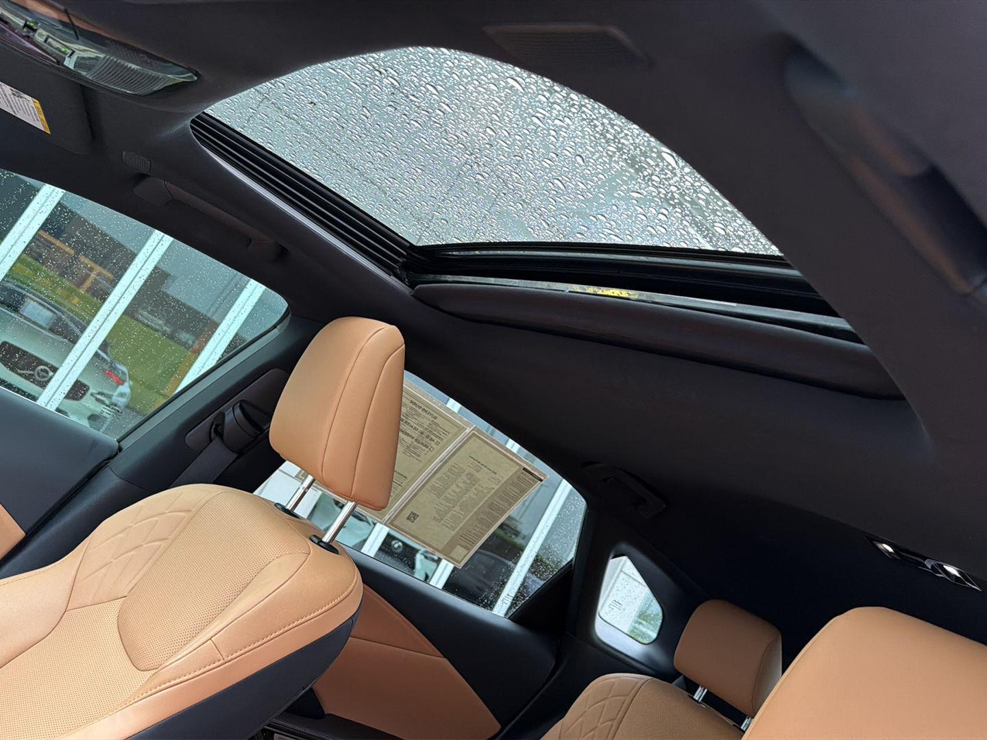 Used 2023 Lexus RX SUV