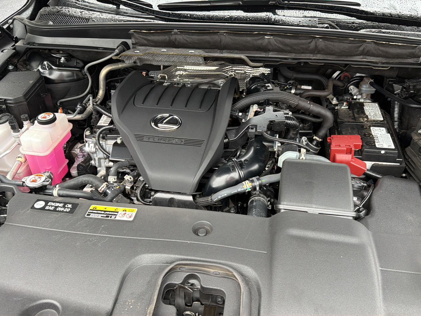 Used 2023 Lexus RX SUV