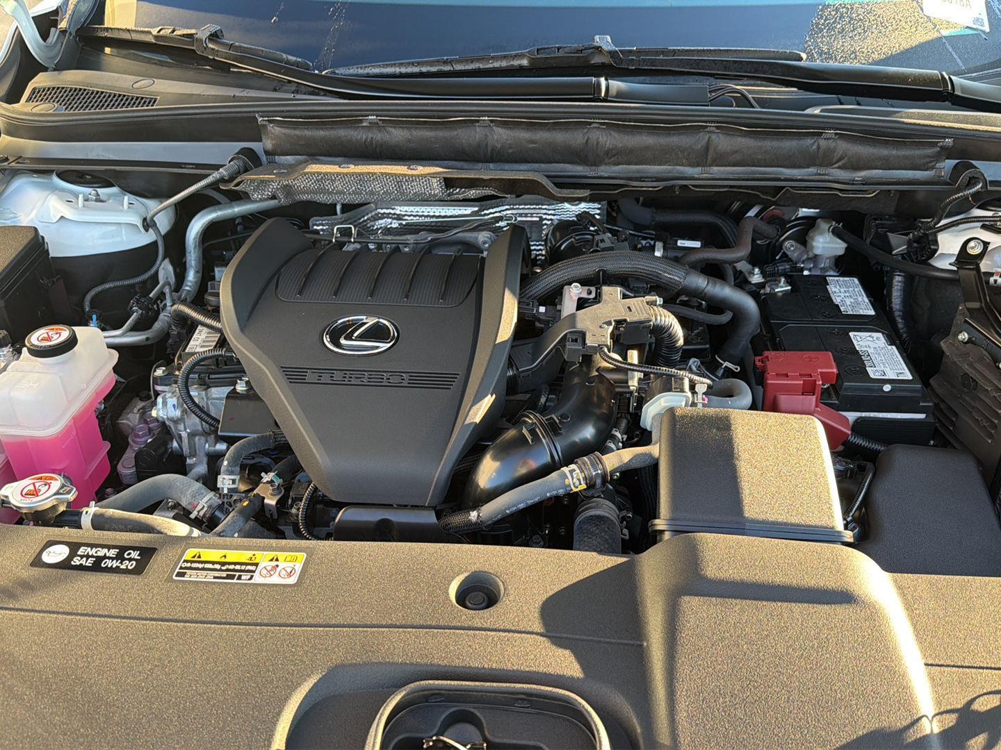 Used 2024 Lexus RX SUV