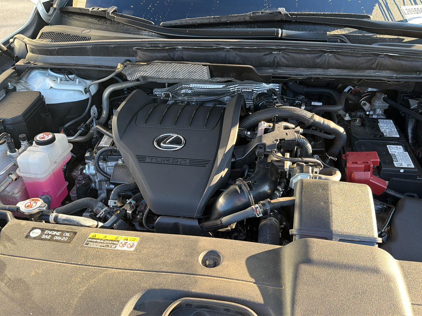 Used 2023 Lexus RX SUV