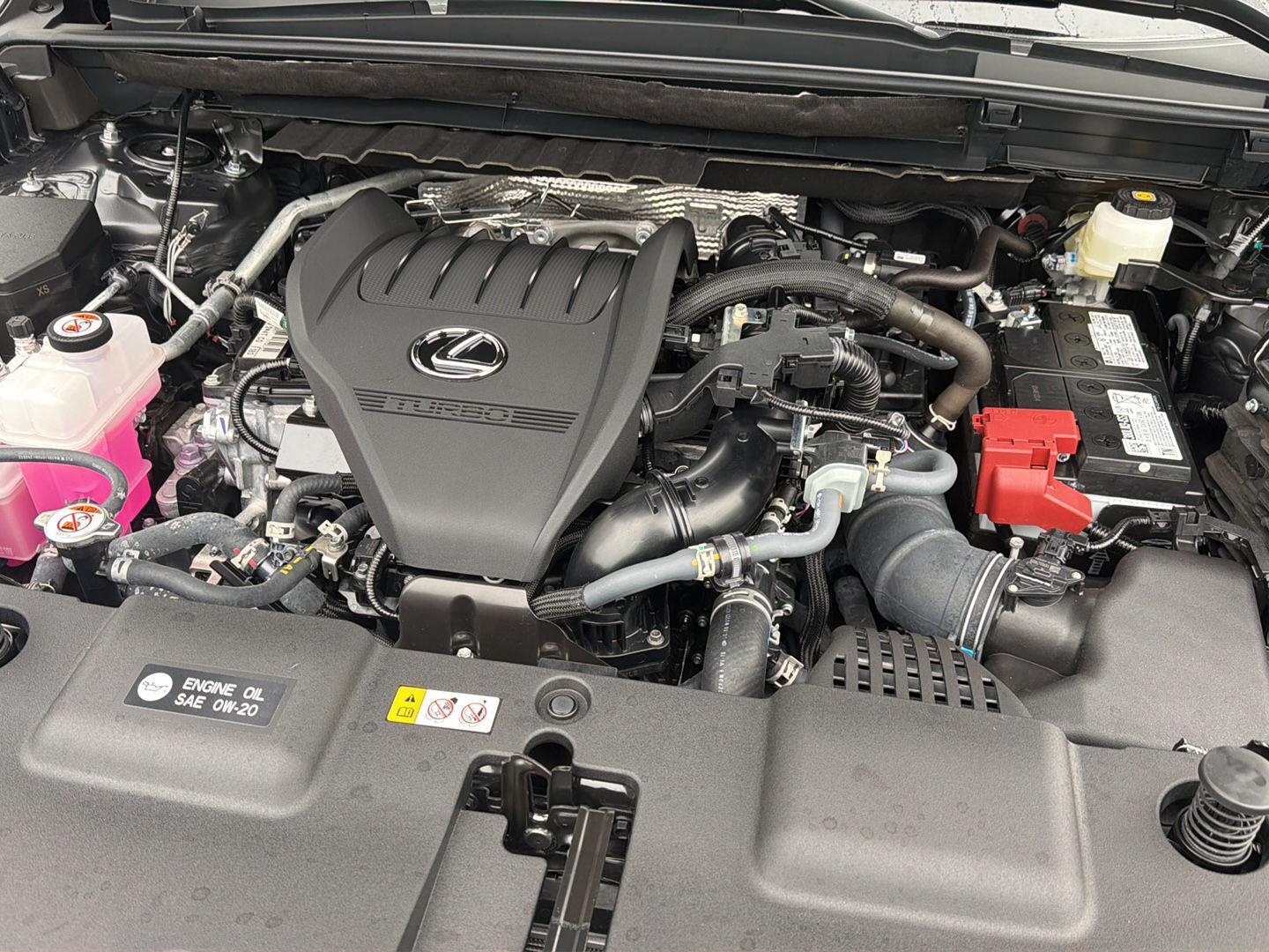 Used 2026 Lexus NX SUV