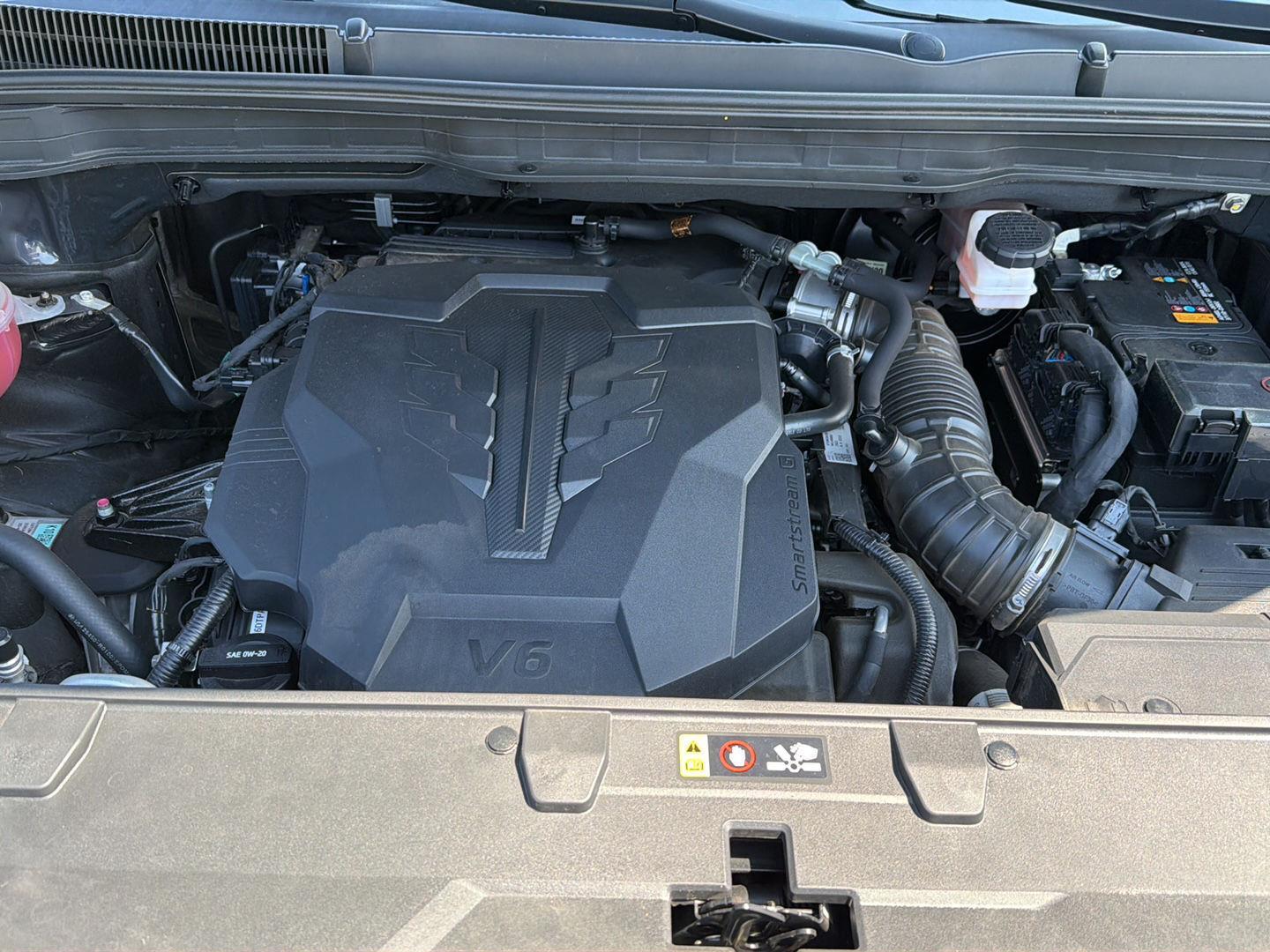 Used 2024 Kia Carnival Van