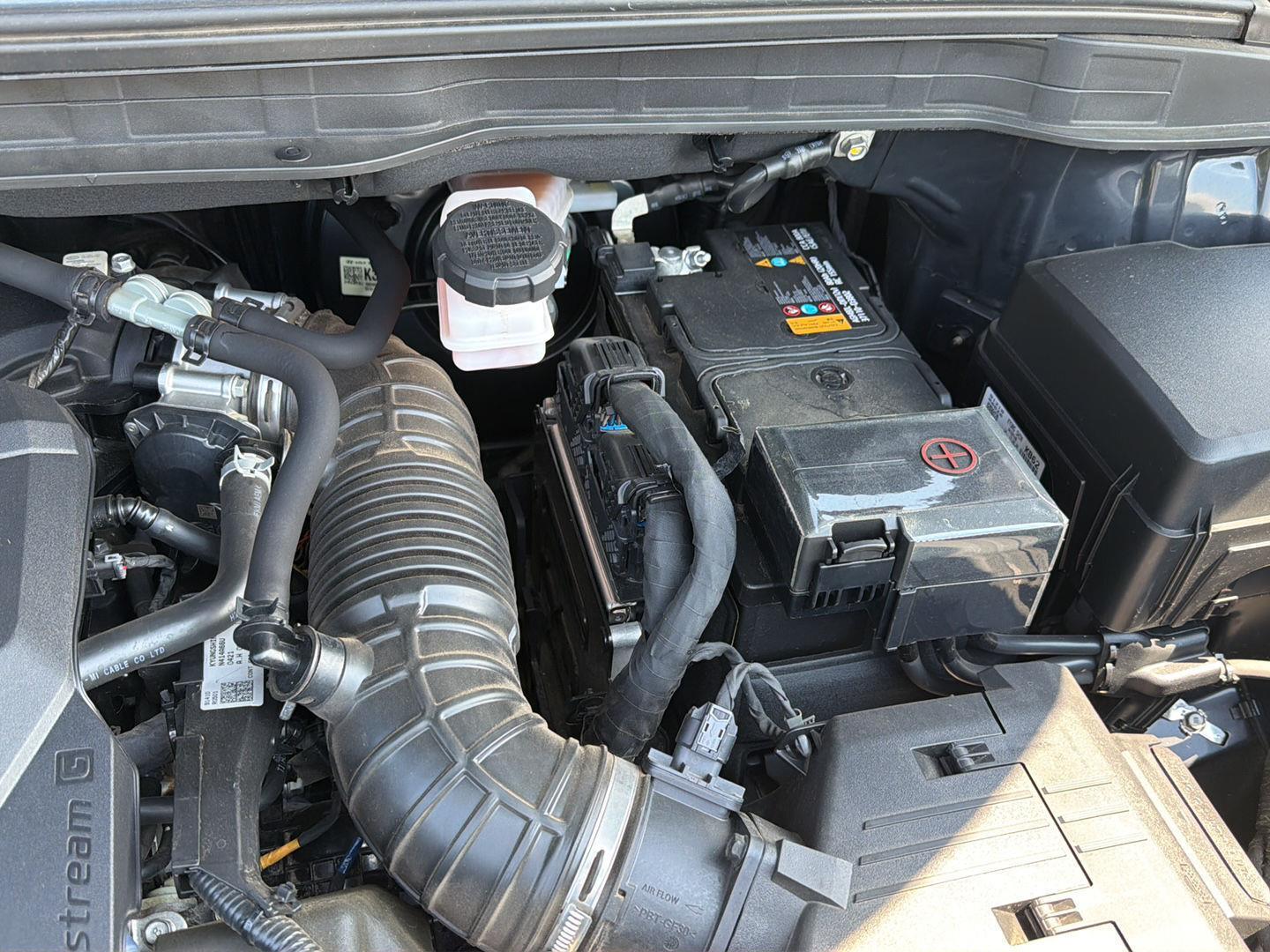 Used 2024 Kia Carnival Van