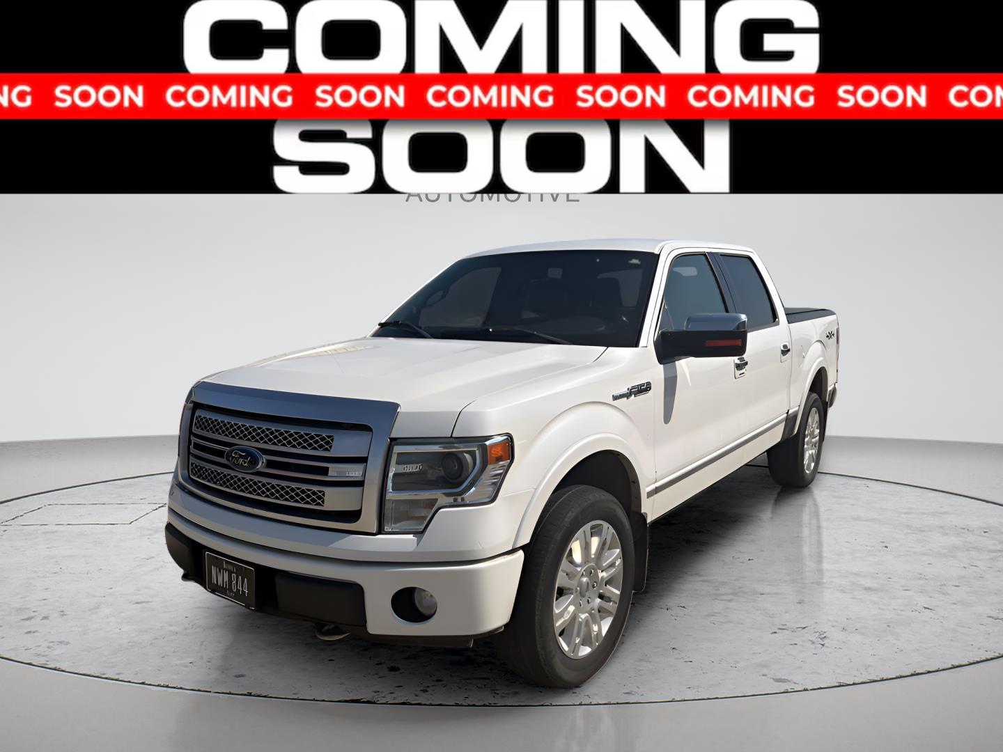 2013 Ford F-150 Platinum SuperCrew 4WD