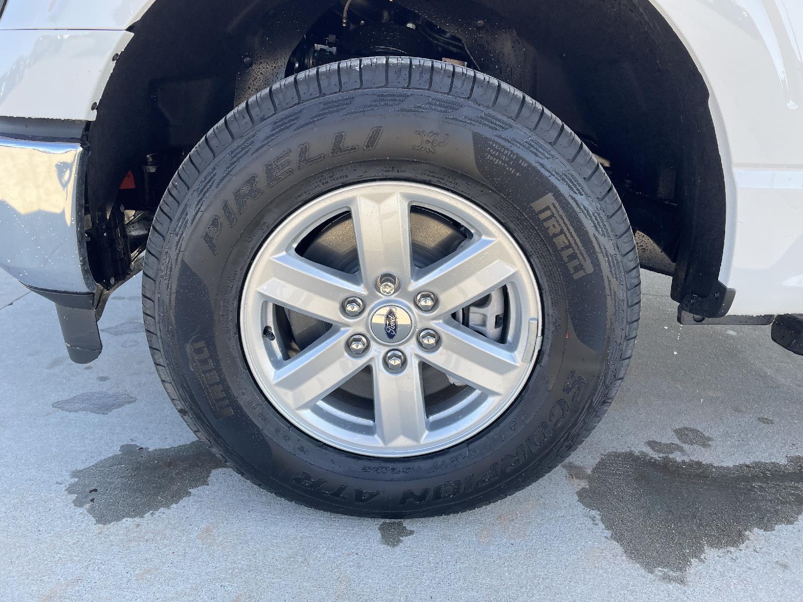 New 2025 Ford F-150 XL Regular Cab Truck for sale in Lincoln NE