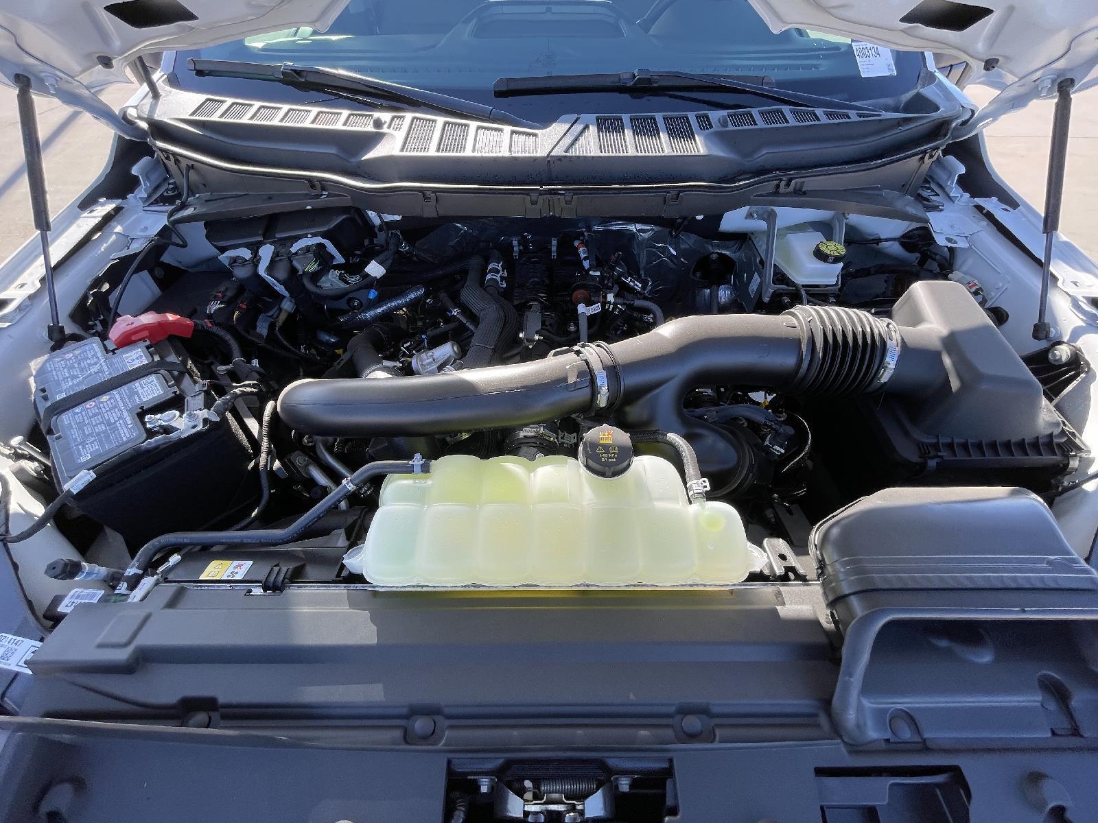 New 2025 Ford F-150 XL Regular Cab Truck for sale in Lincoln NE