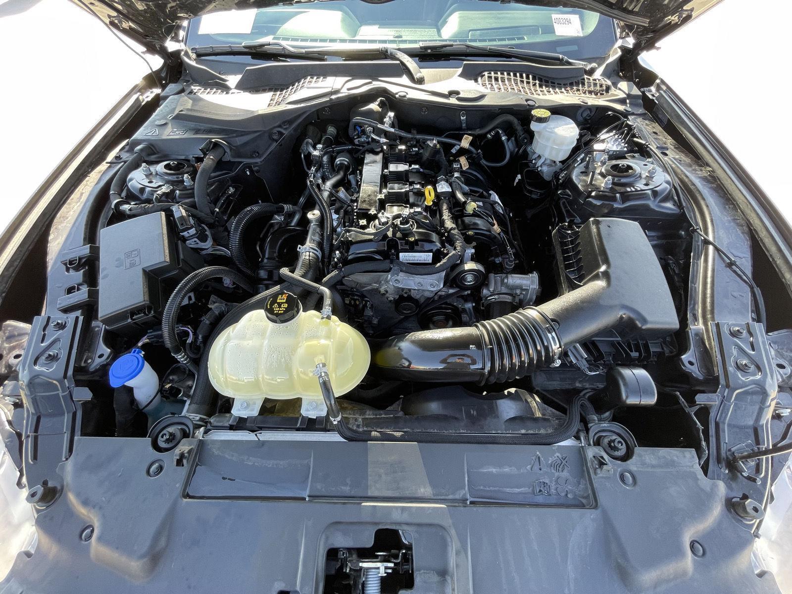 Used 2022 Ford Mustang EcoBoost Coupe for sale in Lincoln NE