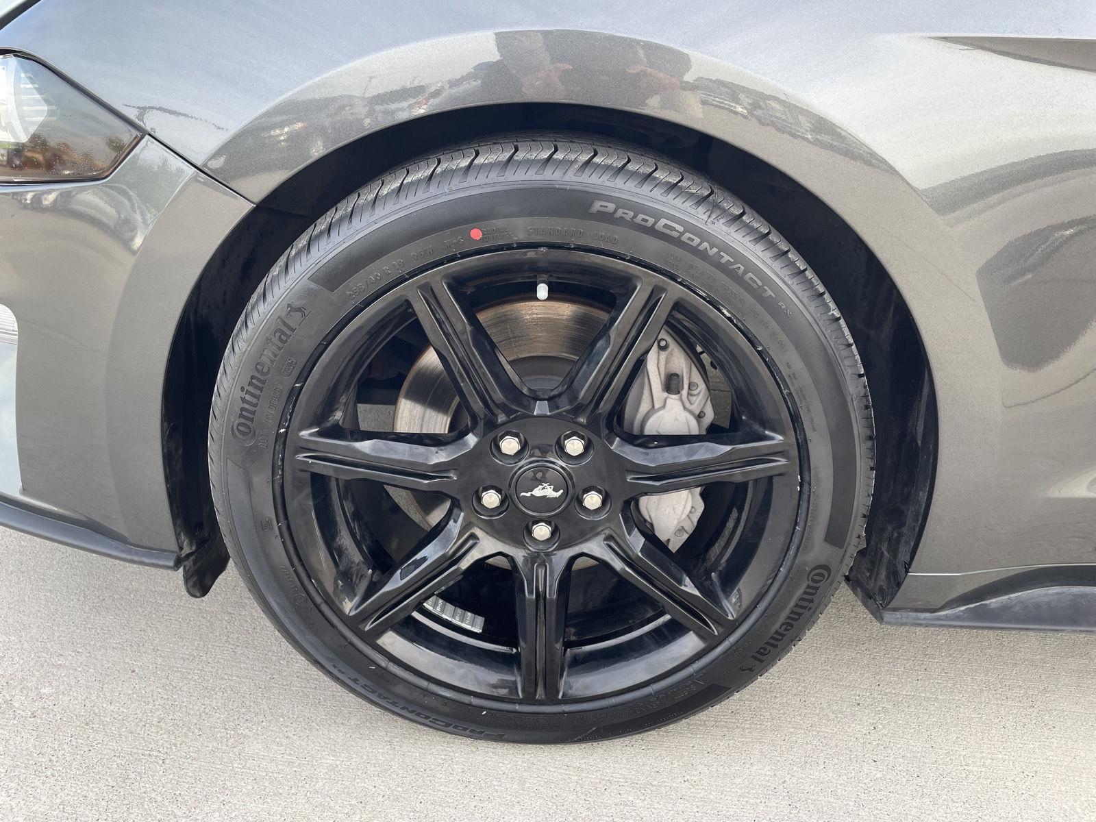 Used 2019 Ford Mustang GT Premium Coupe for sale in Lincoln NE