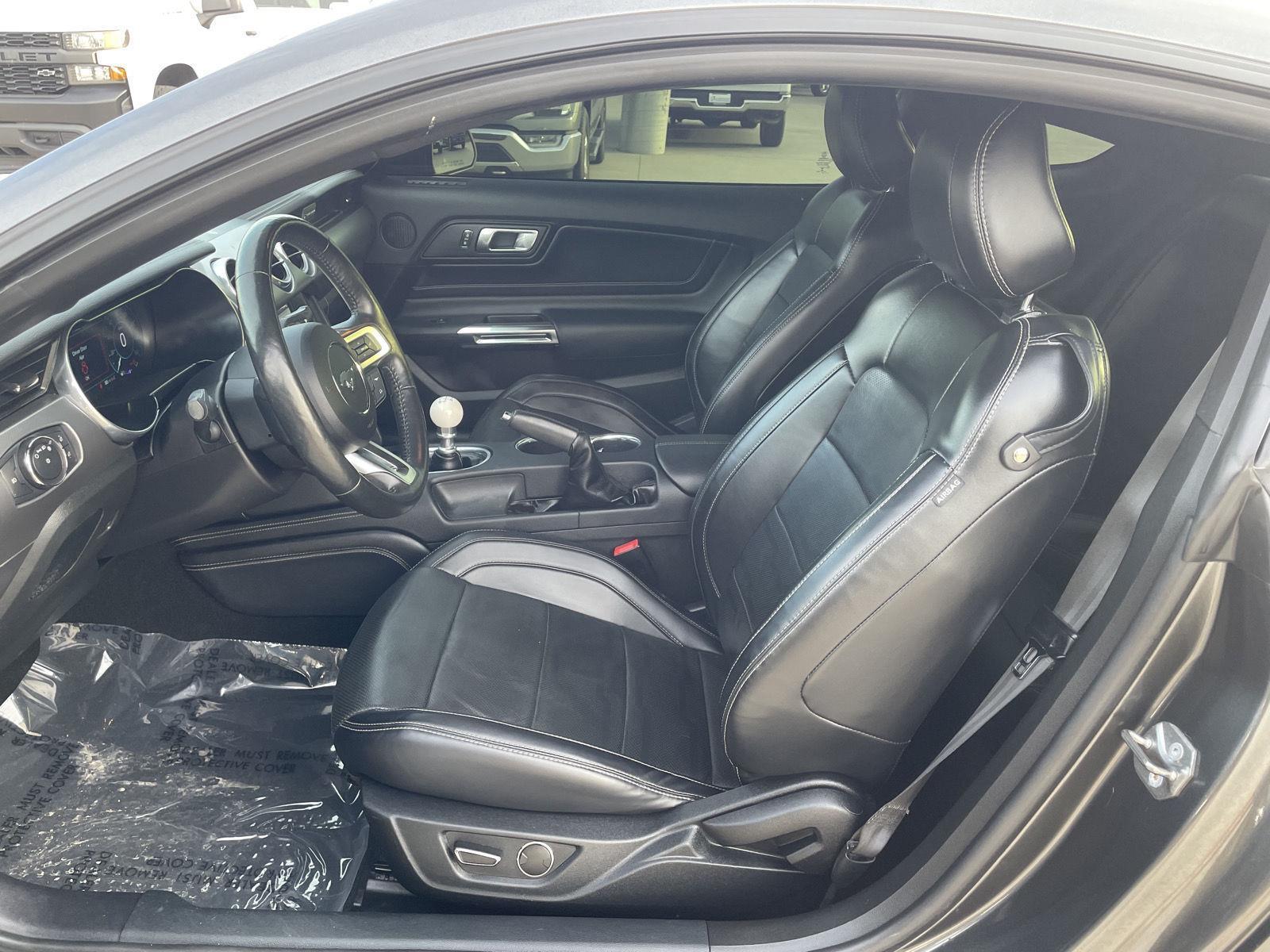 Used 2019 Ford Mustang GT Premium Coupe for sale in Lincoln NE