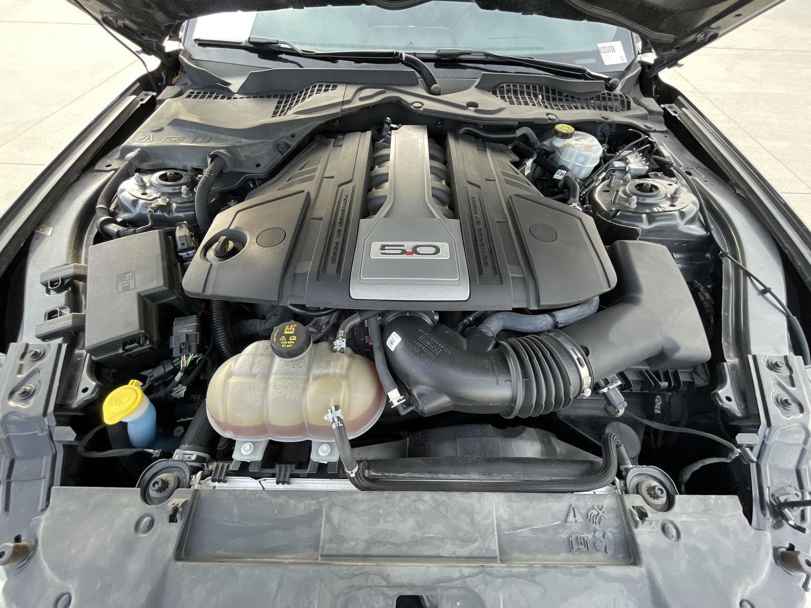 Used 2019 Ford Mustang GT Premium Coupe for sale in Lincoln NE