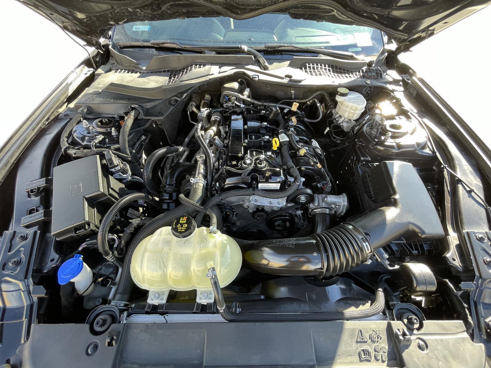 Used 2022 Ford Mustang for sale in Lincoln NE