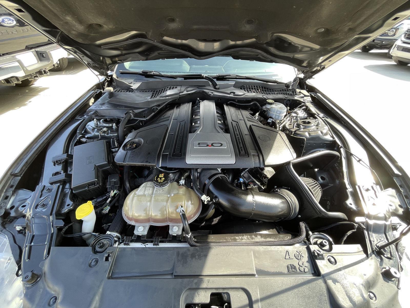 Used 2019 Ford Mustang for sale in Lincoln NE