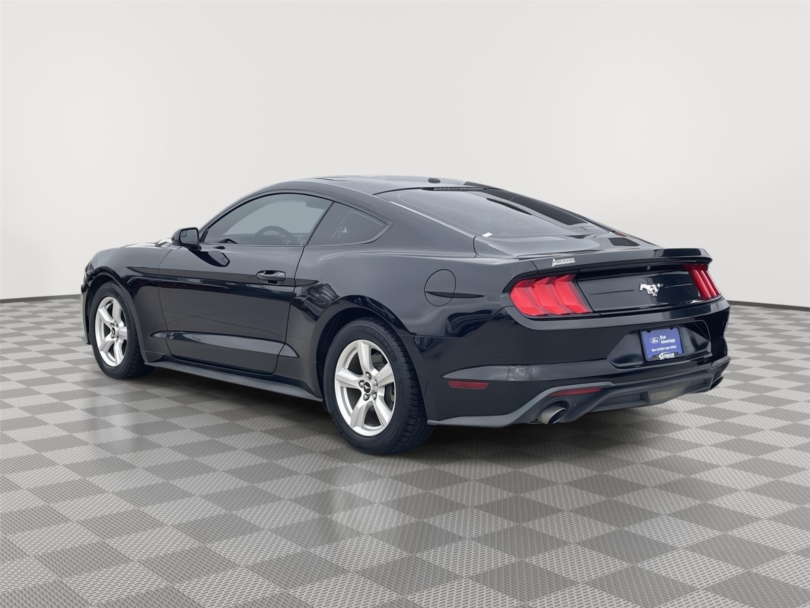Vehicle photo 9