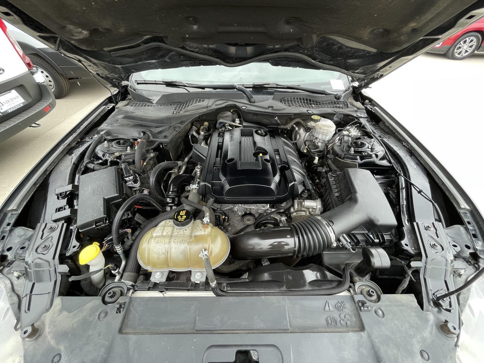 Vehicle photo 33