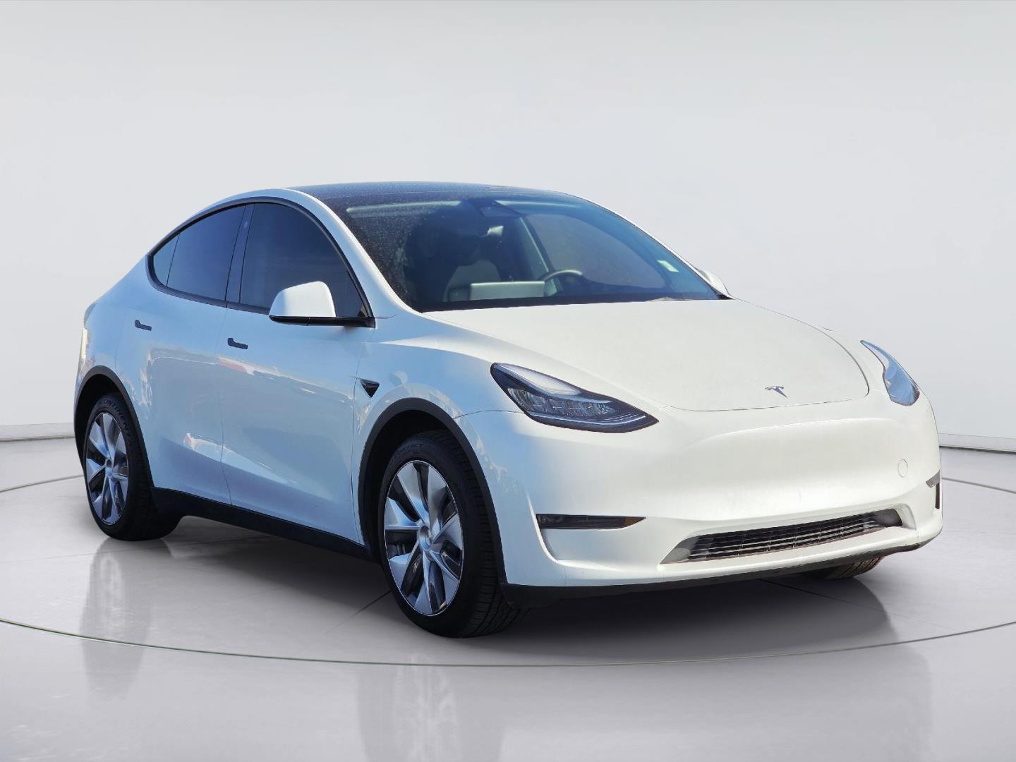 2023 TESLA MODEL Y  at Beck & Masten Kia