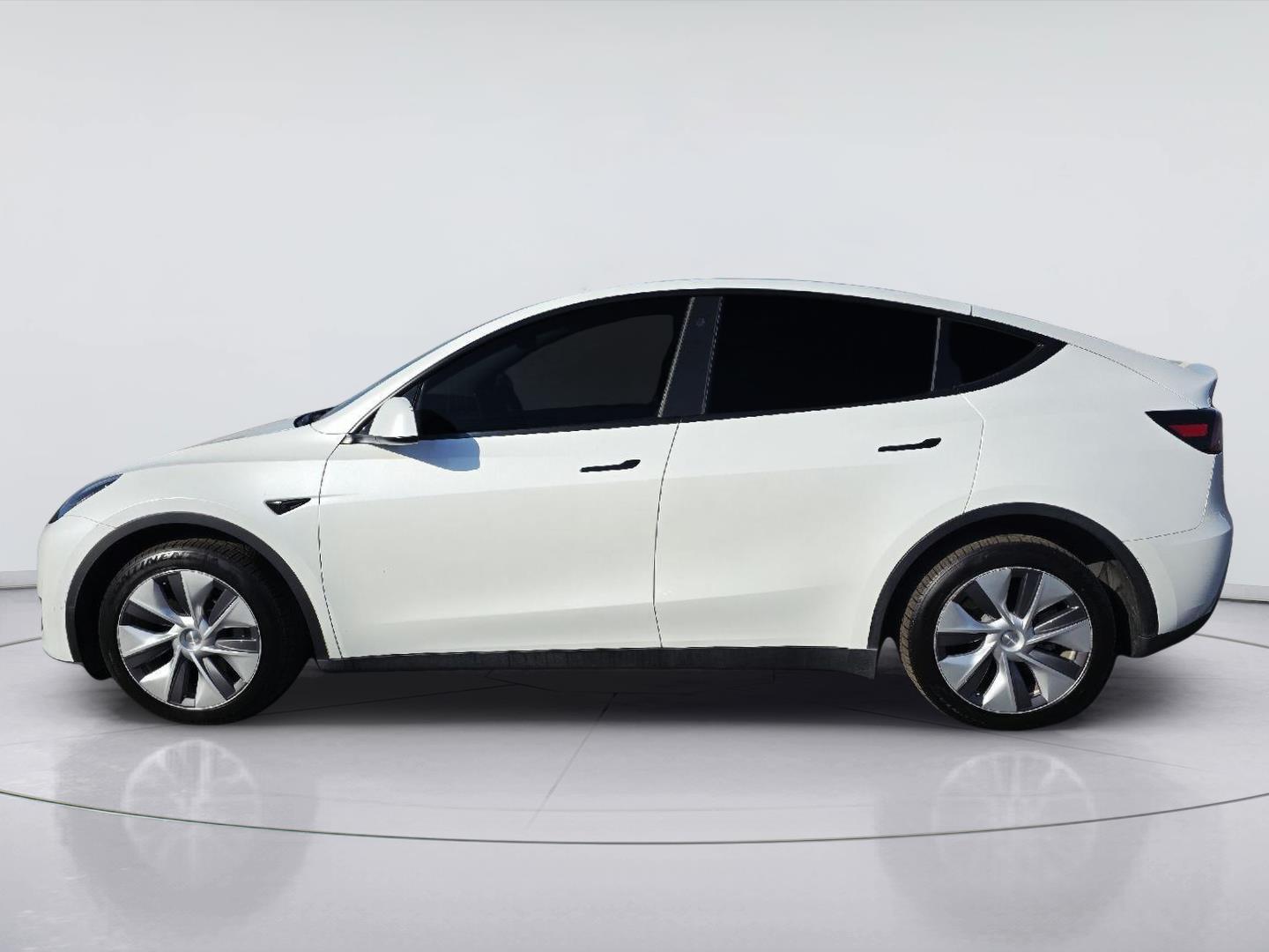 2023 TESLA MODEL Y  at Beck & Masten Kia