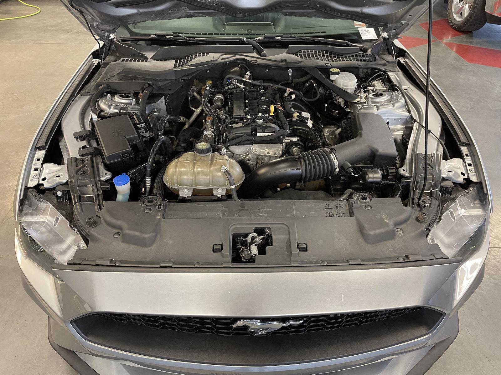 Used 2021 Ford Mustang for sale in St. Joseph MO