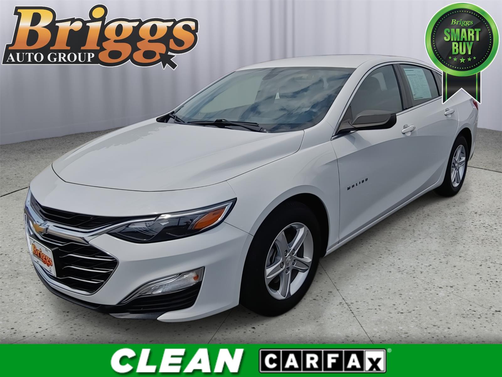 2019 Chevrolet Malibu LS Fleet FWD