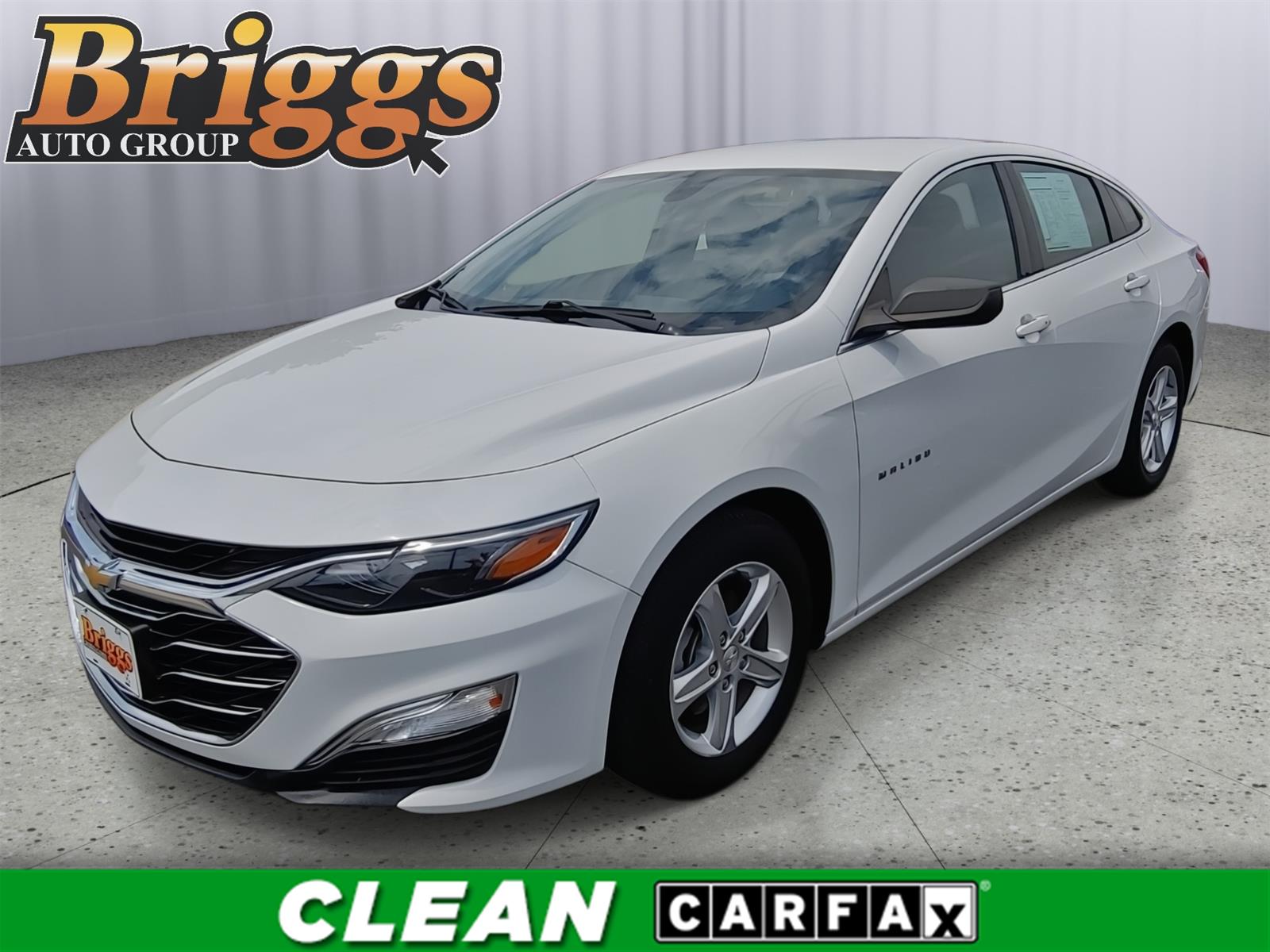 2019 Chevrolet Malibu LS Fleet FWD