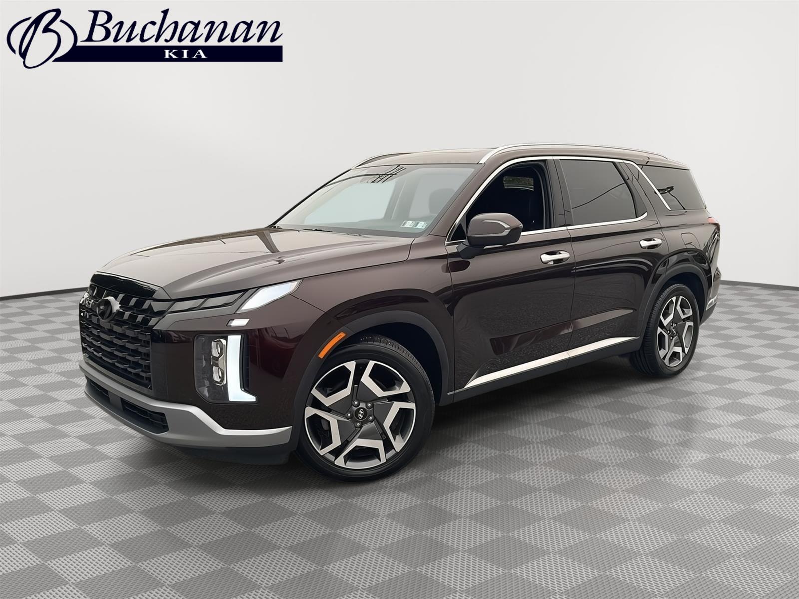 Red (Sierra Burgundy) 2023 Hyundai Palisade SUV / Crossover All-Wheel Drive Automatic
