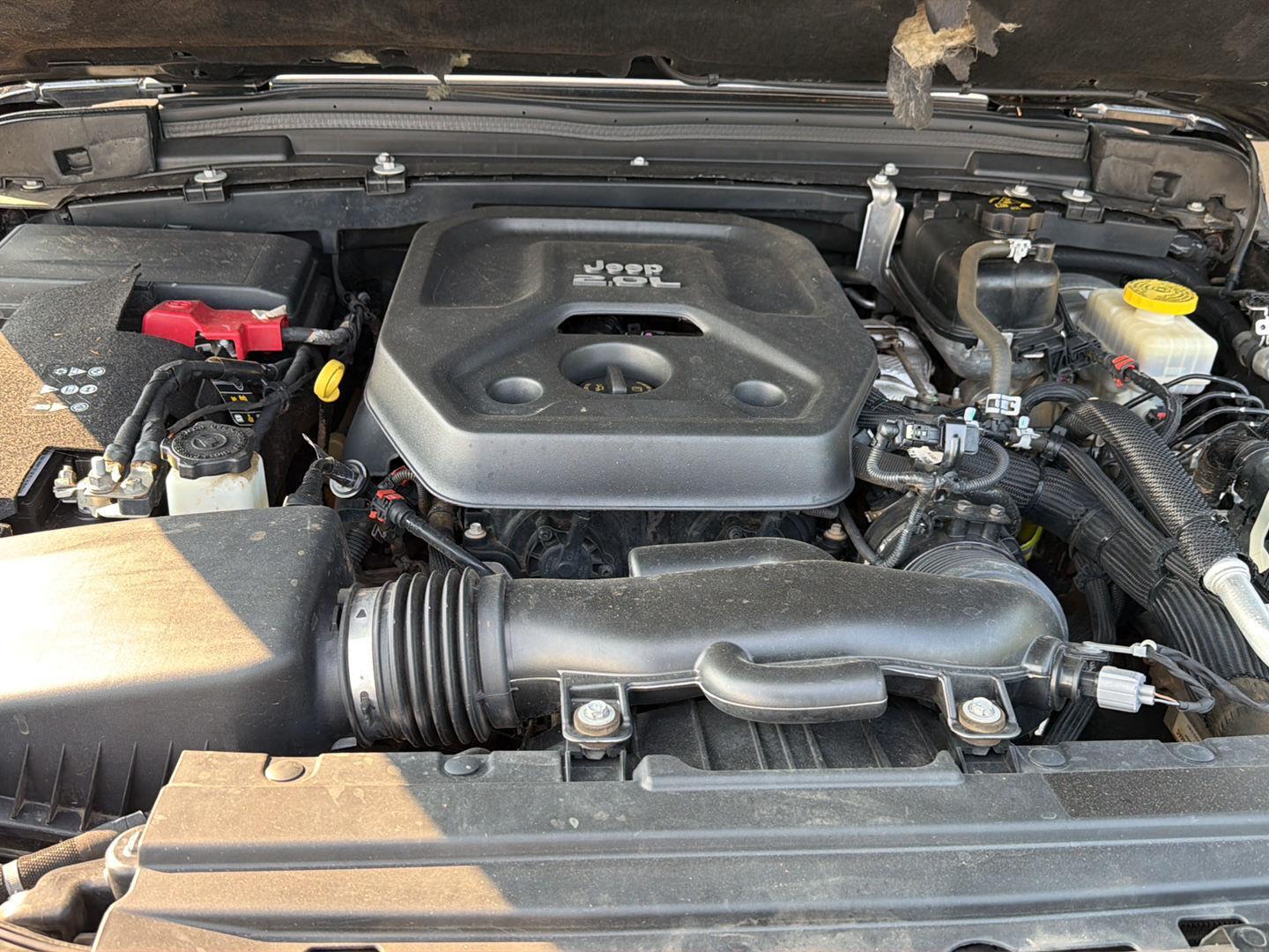 Used 2020 Jeep Wrangler Unlimited SUV