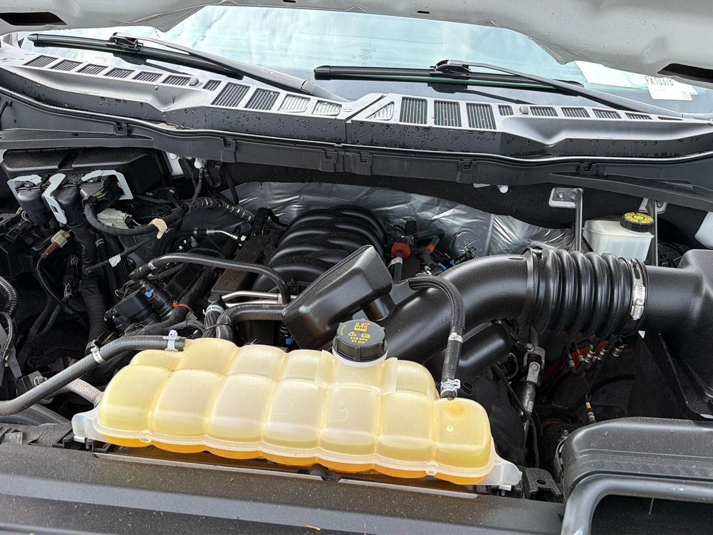 Used 2024 Ford F-150 Truck