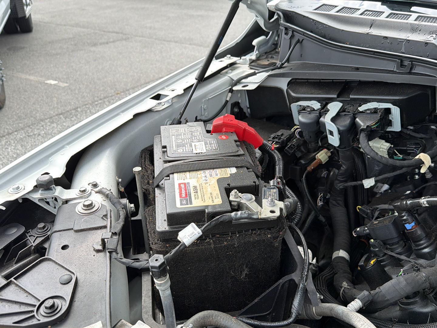 Used 2024 Ford F-150 Truck