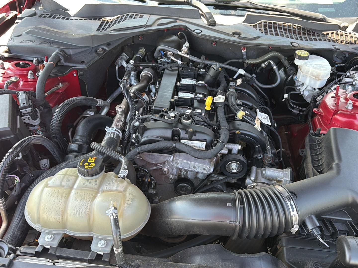Used 2022 Ford Mustang Sedan