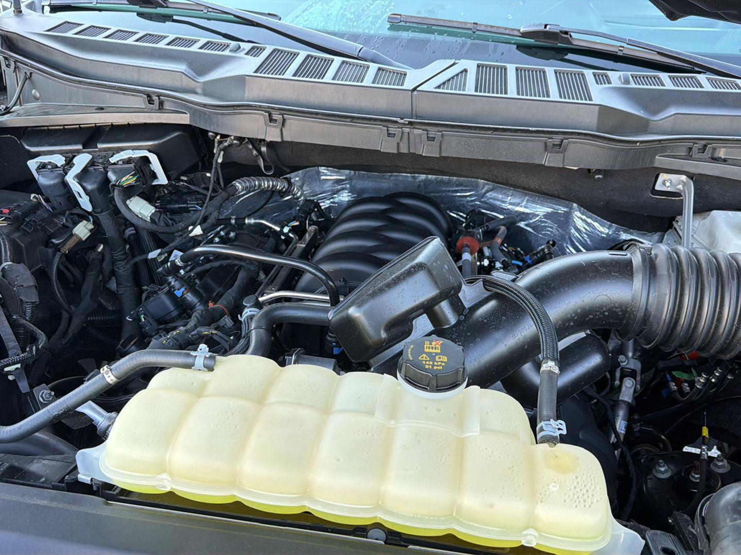 Used 2025 Ford F-150 Truck