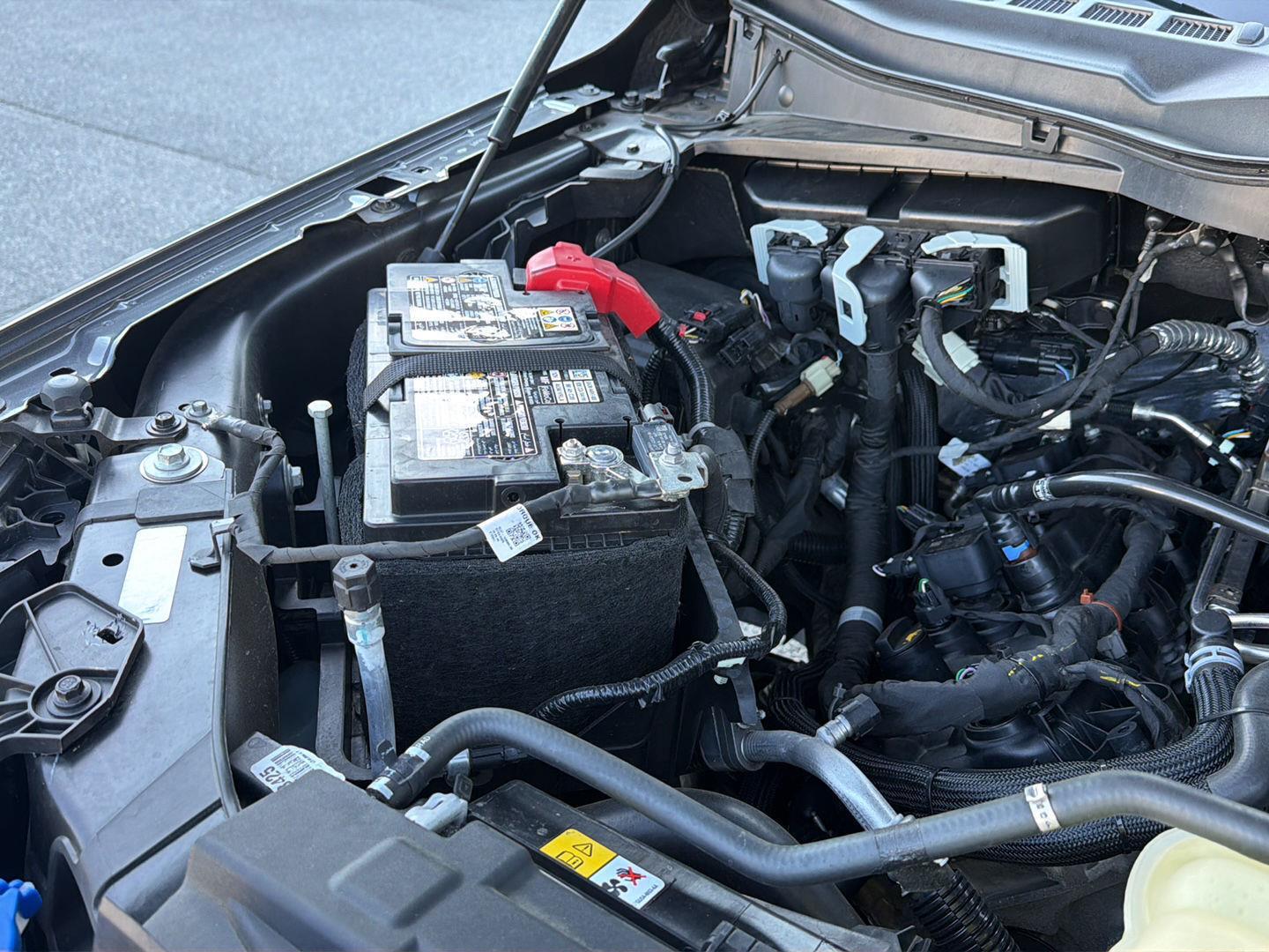 Used 2025 Ford F-150 Truck