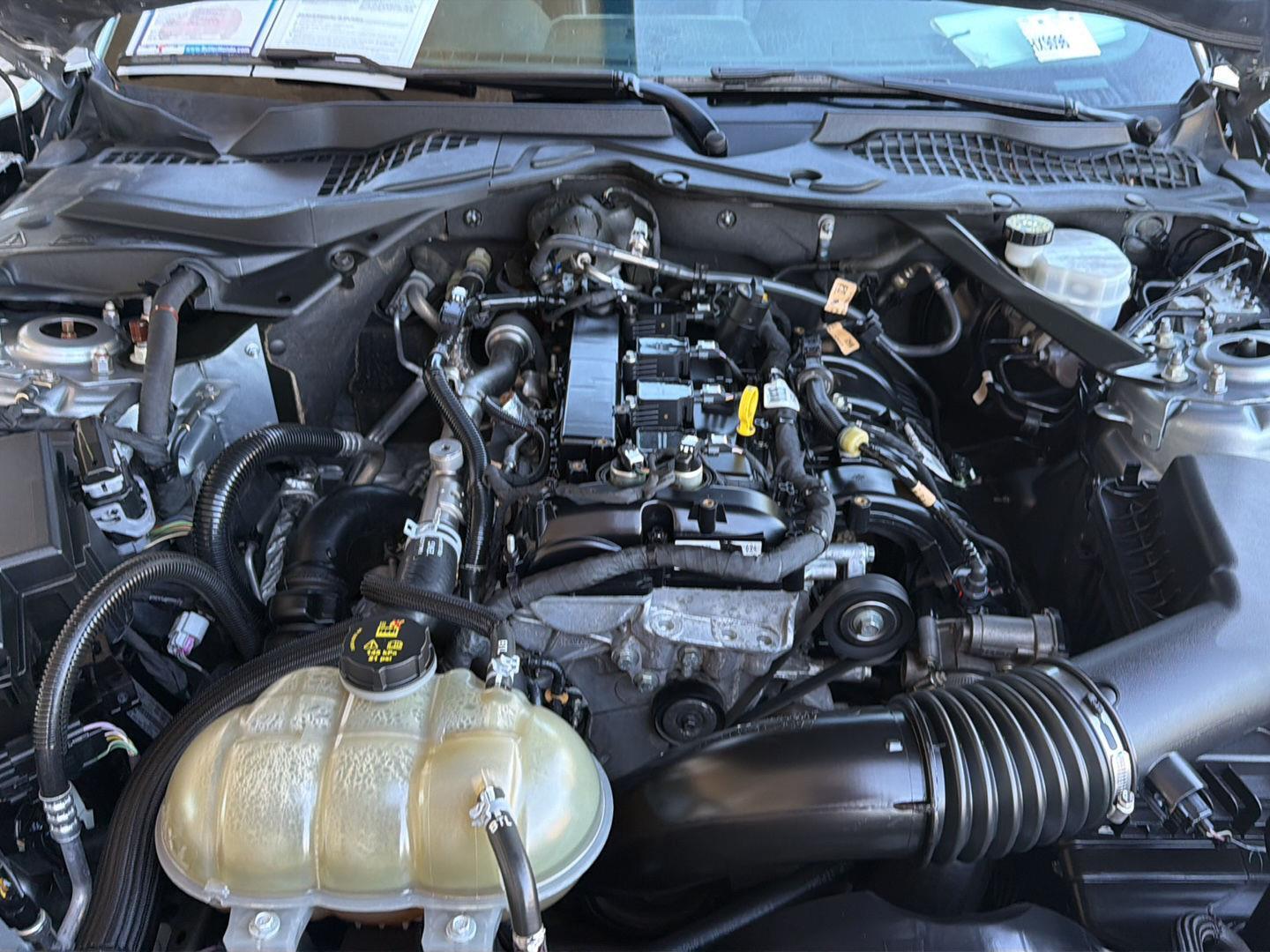 Used 2023 Ford Mustang Convertible
