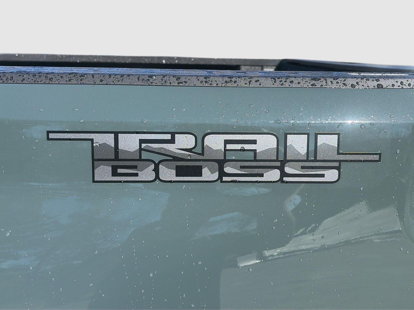 2026 Chevrolet Silverado 2500HD photo 11 of 31